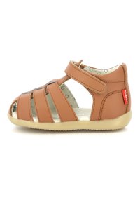 No seleccionado, camel