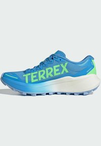 Blauwe hardloopschoen met groen "TERREX"-logo, gestructureerde bovenkant, gevoerde kraag en een witte, gedempte middenzool. Antislipprofiel op de zool.
