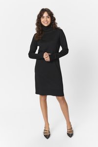 Black ribbed turtleneck dress with long sleeves, ending above the knee; worn with pointed-toe black heels featuring strap details.