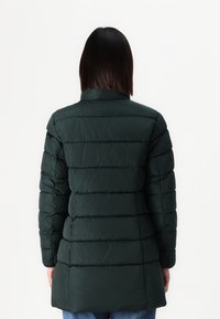 Persona con cabello oscuro lacio que lleva una larga chaqueta acolchada verde oscuro, de pie de espaldas a la cámara.