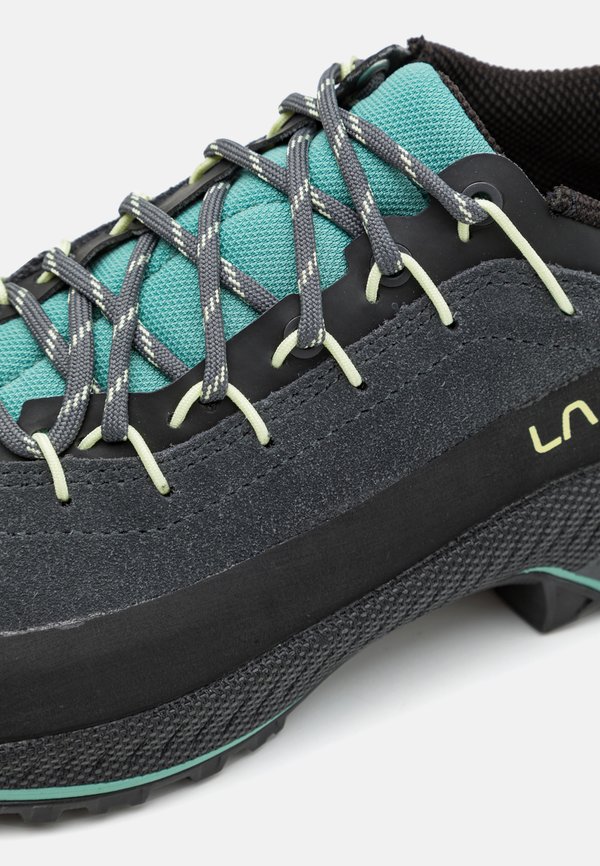 TX4 EVO WOMAN - Hiking shoes3