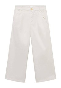 Pantaloni larghi di colore chiaro, realizzati in tessuto misto cotone, con pieghe sulla parte anteriore, fascia in vita e chiusura con bottone.