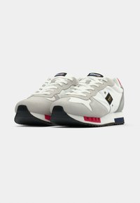 Paire de baskets de sport grises et blanches avec des lacets blancs, des semelles noires et des accents rouges et bleus, vues d’un angle avant latéral.
