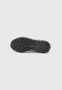 Adidas Terrex TERREX SKYCHASER - Fjellsko - trace brown/wonder alumina/semi flash aqua