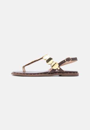 Brown flat sandal with adjustable ankle strap and gold circular decorative accents on the front strap, open toe design.