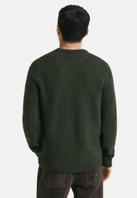 Mann mit kurzem, dunklem Haar, der einen dunkelgrünen Strickpullover und dunkle Hosen trägt, von hinten vor einem schlichten weißen Hintergrund gezeigt.
