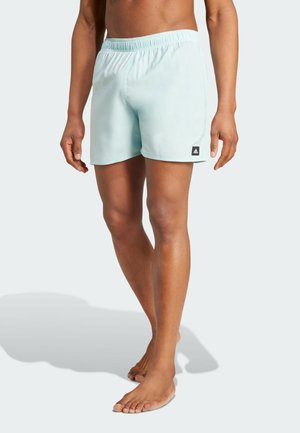 SOLID CLX -LENGTH - Shorts da mare - halo mint   black