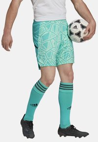 adidas Performance Kurze Sporthose - tuerkis