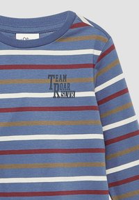 Blauw, wit, rood en bruin horizontaal gestreepte longsleeve shirt met de tekst "TEAM ROAR SL.VR" op de borst.
