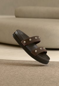 Επιλέχθηκε, dark brown