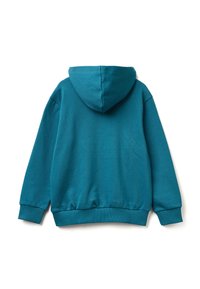 Sudadera de color azul verdoso con capucha. Hecha de una tela suave, presenta puños y dobladillo acanalados. La parte posterior tiene un diseño simple, sin patrones o acentos adicionales.