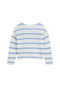 Blau-weiß gestreifter gehäkelter Pullover mit langen Ärmeln, runder Ausschnitt und einem strukturierten, offen gestrickten Muster.