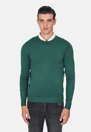 Maglione verde a maglia con collo rotondo, maniche lunghe e polsini e orlo a coste. Indossato sopra una camicia bianca con colletto, abbinato a jeans scuri.
