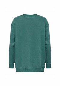 Felpa verde con collo rotondo, maniche lunghe, polsini e orlo ribattuti, e una texture liscia, caratterizzata da un design semplice e monocolore.