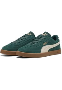 Baskets en daim vert avec une rayure beige, semelle en caoutchouc, et logo de marque doré. Elles possèdent des lacets plats et un design profil bas.