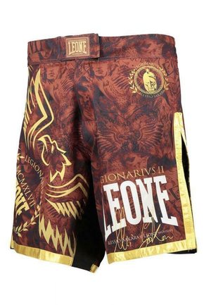 MMA  - Shorts - fantasy