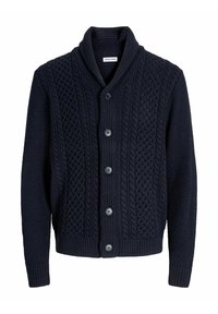 Cardigan - sky captain