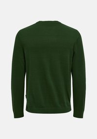 Dunkelgrüner Pullover aus weichem Stoff, mit Rundhalsausschnitt, langen Ärmeln und geripptem Saum. Minimalistisches Design ohne Muster.