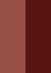 13 golden peach/pearly burnt sienna