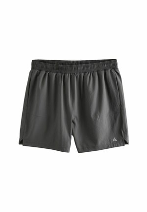 Grå atletiska shorts med elastiskt midjeband, sidofickor och liten logodetalj. Tillverkade av lätt, andningsbart material.