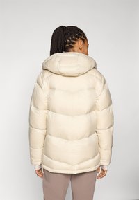 Columbia CLOUDVIEW™ HOODED JACKET - Piumino - dark stone