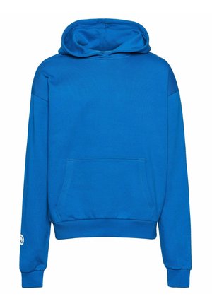 Blue hooded sweatshirt made of soft cotton blend, featuring a front pocket, ribbed cuffs, and hem, with a relaxed fit and no visible patterns.