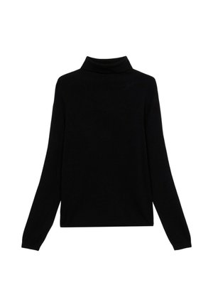 Schwarzer Rollkragenpullover aus weichem Strickstoff, mit langen Ärmeln, figurbetontem Design und minimalistischen Stil ohne Verzierungen.