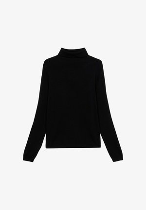 Maglione a collo alto nero realizzato in un morbido tessuto a maglia, con maniche lunghe, design aderente e uno stile minimalista senza decorazioni.
