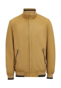 Unausgewählt, kamel