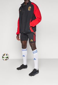 Giacca nera e rossa con emblema del Belgio, pantaloni corti neri con dettagli dorati, scarpini da calcio neri e calze bianche con strisce blu. Palla da calcio nelle vicinanze.