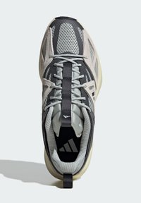 adidas Sportswear KANTAI - Trail hardloopschoenen - silver core black grey six