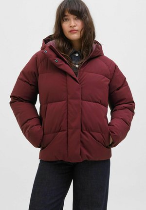 OTW ACT - Veste d'hiver - cabernet
