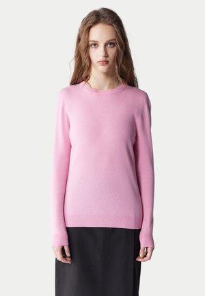 Young woman with long hair wearing a light pink crewneck sweater and a black skirt, standing against a plain white background.