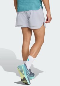 Helle graue Laufshorts mit reflektierenden Akzenten, kombiniert mit blauen und grünen Turnschuhen. Die Shorts verfügen über Seitenschlitze für Bewegungsfreiheit.