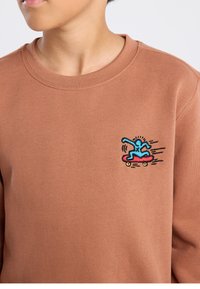 Brown sweatshirt featuring a blue and red embroidered skateboarder graphic on the left chest. Round neckline and soft texture.