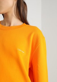 Jasnopomarańczowa bluza z mieszanki bawełnianej, z okrągłym dekoltem i raglanowymi rękawami. Biały logo Calvin Klein na piersi.