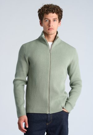 Homme aux cheveux bouclés, portant un pull zippé vert clair à côtes sur une chemise blanche et un jean foncé, debout avec une main dans la poche.