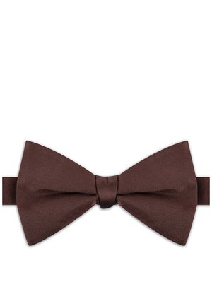 Brązowa satynowa mucha z klasycznym węzłem, na białym tle.