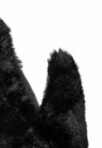 Zwarte pluchen wanten met een zachte, fuzzy textuur. Het ontwerp heeft ronde punten die naar de uiteinden toe taps toelopen.