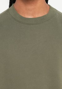 In primo piano, una persona indossa un maglione verde oliva a girocollo, con capelli intrecciati visibili ai lati.