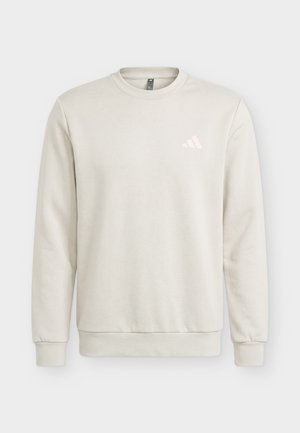 adidas Terrex, SNOW SPORT GRAPHIC CREW - Φούτερ - alumina