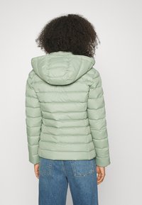 Tommy Jeans BASIC HOODED JACKET - Winter jacket - dusty sage