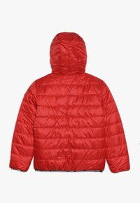 Vingino TOINE - Winterjacke - classic red