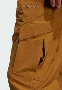 Adidas Terrex Bukser - bronze strata