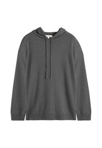 Sweatshirt gris à capuche fabriqué en tissu doux. Il comprend une capuche avec cordons, des manches longues et un ourlet et des poignets côtelés. Design minimaliste.