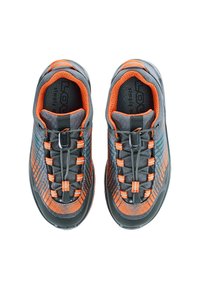 Lowa CAREZZA GTX LO JR - Scarpa da hiking - grey