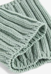 Next REGULAR FIT - Écharpe tube - sage green