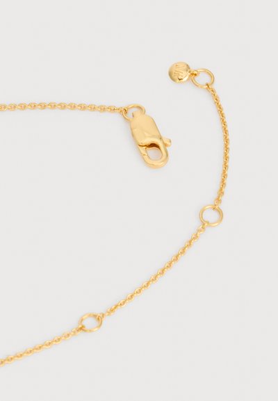 Λεπτό κολιέ αλυσίδας από χρυσό με κούμπωμα αστακού και ρυθμιζόμενους κρίκους σε ανοιχτό φόντο.