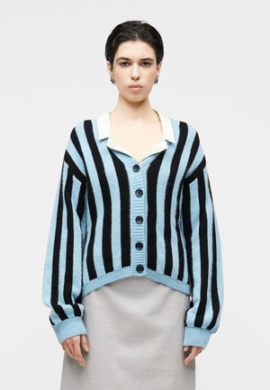 Cardigan lavorato a maglia a righe verticali azzurro chiaro e nero, con scollo a V, cinque bottoni, polsini e orlo a coste. Texture liscia.