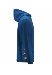 Felpa blu con tasca a marsupio, cappuccio con lacci e sottili accenti del logo in un colore a contrasto sui lati. Texture del materiale morbida.